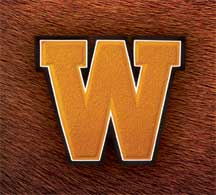 Walsh College